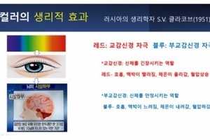 [컬러테라피 강의] 안산시건강가정지원센터 컬러테라피 특강(비대면) 후기